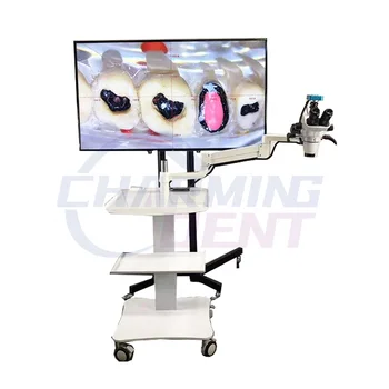 Stomatologické LED operačný chirurgické SPRÁVA mikroskop s fotoaparátom / lab zariadenia prenosné mikroskopom endodoncie oftalmologické zariadenia